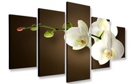 OBRAZ OBRAZY BIELA ​​ORCHIDEA 125x70 PLÁTNO