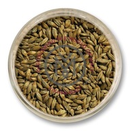 Viedenský slad Viking Malt Strzegom 5kg zr Viedenský slad Viking Malt Strzegom 5kg zr