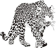 Nálepka na stenu s leopardom - Divoké mačky 24 Nálepka na stenu s leopardom - Divoké mačky 24