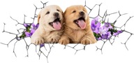 3D samolepky na stenu Diera v stene XL 3D samolepky na stenu Diera v stene XL