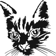 Samolepiaca nálepka na stenu do spálne CAT mačiatko 50 cm Samolepiaca nálepka na stenu do spálne CAT mačiatko 50 cm