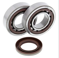 LOŽISKÁ Kľukového hriadeľa KTM SX 450 03-06 LOŽISKÁ Kľukového hriadeľa KTM SX 450 03-06