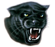 NÁLEPKA PANTHER PUMA NÁLEPKA PUMA HEAD UV FILTER NÁLEPKA PANTHER PUMA NÁLEPKA PUMA HEAD UV FILTER