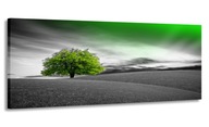 PANORÁMA OBRAZ SIVÁ ZELENÁ 150x60 DO OBÝVAČKY PANORÁMA OBRAZ SIVÁ ZELENÁ 150x60 DO OBÝVAČKY
