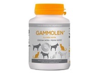 Gammolen pre psov a mačky OMEGA 3 a 6 chlpov 60 uzáverov Gammolen pre psov a mačky OMEGA 3 a 6 chlpov 60 uzáverov