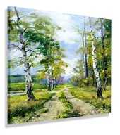 OBRAZ LESNÁ CESTA BREZY OBRAZ NA PLÁTNO 60x60 OBRAZ LESNÁ CESTA BREZY OBRAZ NA PLÁTNO 60x60