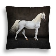 VANKÚŠ 40x40 VANKÚŠOK + VLOŽKA CHAMPION HORSE 22 VANKÚŠ 40x40 VANKÚŠOK + VLOŽKA CHAMPION HORSE 22