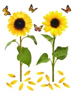 Dekoratívna nálepka na stenu DS 82x105cm Dekoratívna nálepka na stenu DS 82x105cm