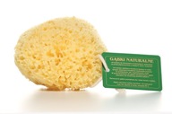 SEA Sponge Natural HONEYCOMB LUX Medium G5 SEA Sponge Natural HONEYCOMB LUX Medium G5