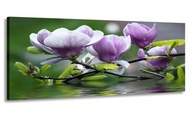 PANORÁMA OBRAZ MAGNOLIA KVETY 150x60 DO OBÝVAČKY PANORÁMA OBRAZ MAGNOLIA KVETY 150x60 DO OBÝVAČKY
