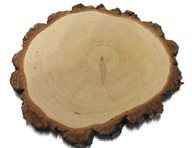 VEĽKÉ leštené brezové drevené plátky, priemer 28-38 cm