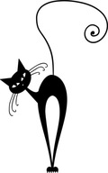 Samolepka na stenu CAT mačiatko mačky mačiatka 31 x 50 cm Samolepka na stenu CAT mačiatko mačky mačiatka 31 x 50 cm