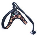 POstroj Čivava 25-35cm TRE PONTI leopard s.1