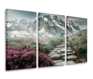 OBRAZ SNEŽNÉ HORY TRIPTYCH OBRAZ 165x100 OBRAZ SNEŽNÉ HORY TRIPTYCH OBRAZ 165x100