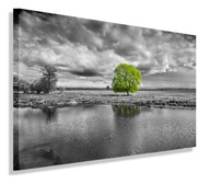 MAĽBA KRAJINA POHĽAD NA STROM OBRAZ NA PLÁTNO 100x70 MAĽBA KRAJINA POHĽAD NA STROM OBRAZ NA PLÁTNO 100x70