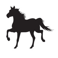 Nálepka na stenu s prívesom na kone Horse 7 Nálepka na stenu s prívesom na kone Horse 7
