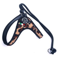 POstroj Čivava 25-35cm TRE PONTI leopard s.1 POstroj Čivava 25-35cm TRE PONTI leopard s.1